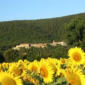 Siena Vecchia Vacanze Stigliano (Tuscany)